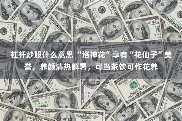 杠杆炒股什么意思 “洛神花”享有“花仙子”美誉，养颜清热解暑，可当茶饮可作花养