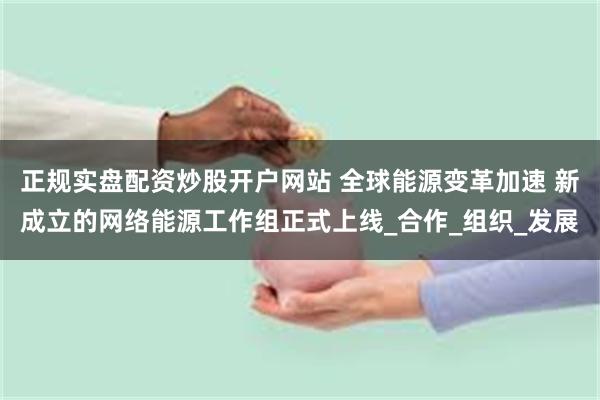 正规实盘配资炒股开户网站 全球能源变革加速 新成立的网络能源工作组正式上线_合作_组织_发展