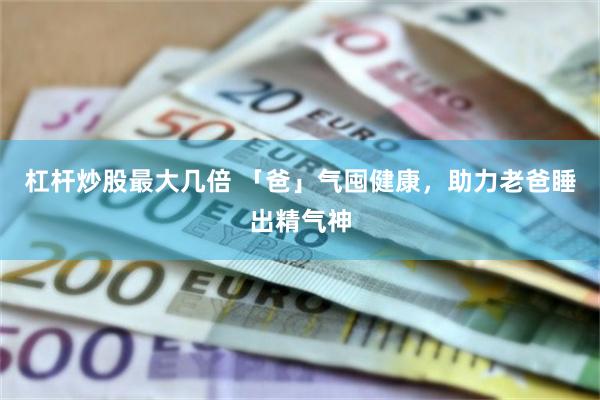 杠杆炒股最大几倍 「爸」气囤健康，助力老爸睡出精气神