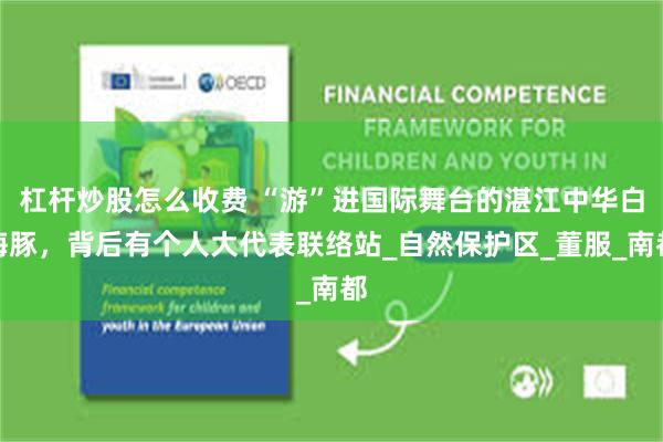 杠杆炒股怎么收费 “游”进国际舞台的湛江中华白海豚，背后有个人大代表联络站_自然保护区_董服_南都